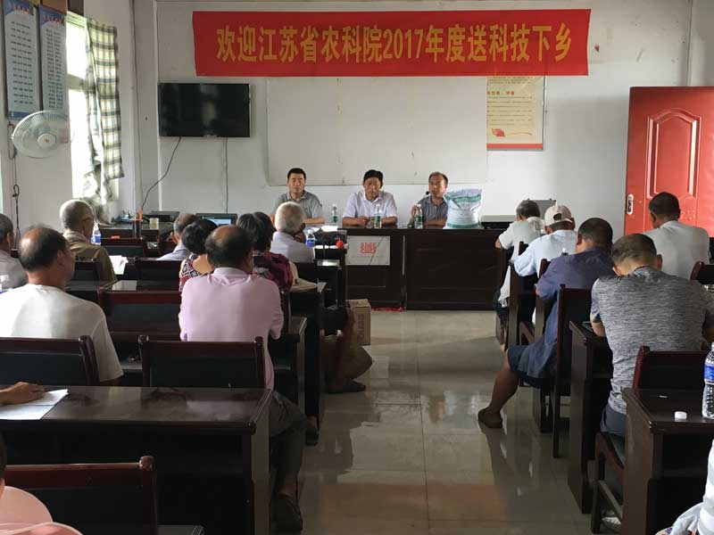 B1619徐州碾莊大蒜會(huì)議