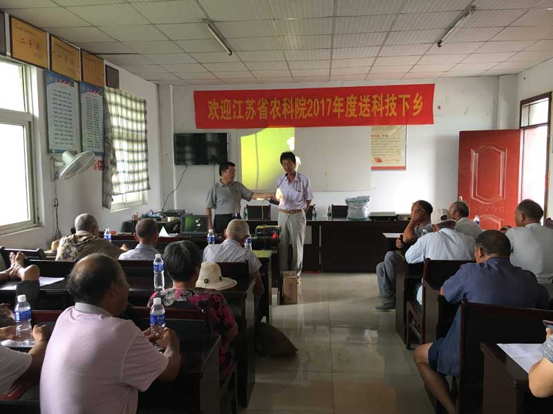 B1619徐州碾莊大蒜會(huì)議