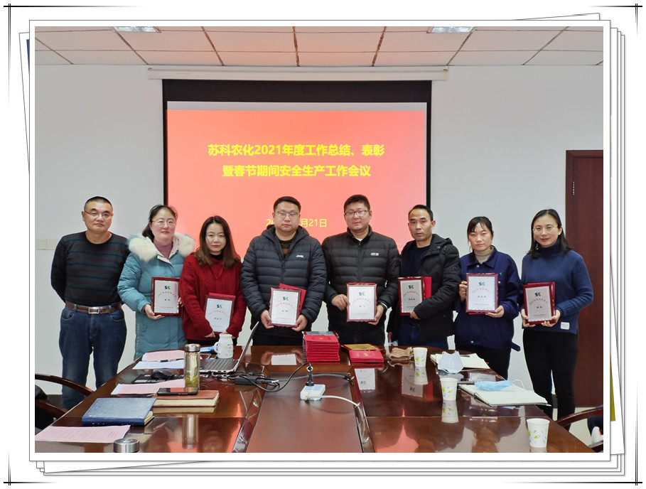 公司召開年度工作總結(jié)、表彰暨春節(jié)期間安全生產(chǎn)工作會(huì)議