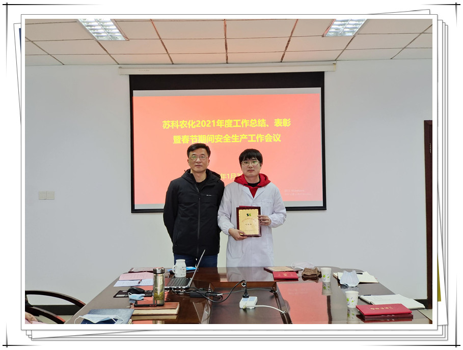 公司召開年度工作總結(jié)、表彰暨春節(jié)期間安全生產(chǎn)工作會(huì)議